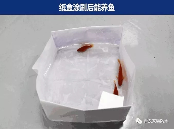衛(wèi)生間滲漏維修太復(fù)雜，用這種產(chǎn)品老師傅都驚呼神奇！[附視頻](圖1)